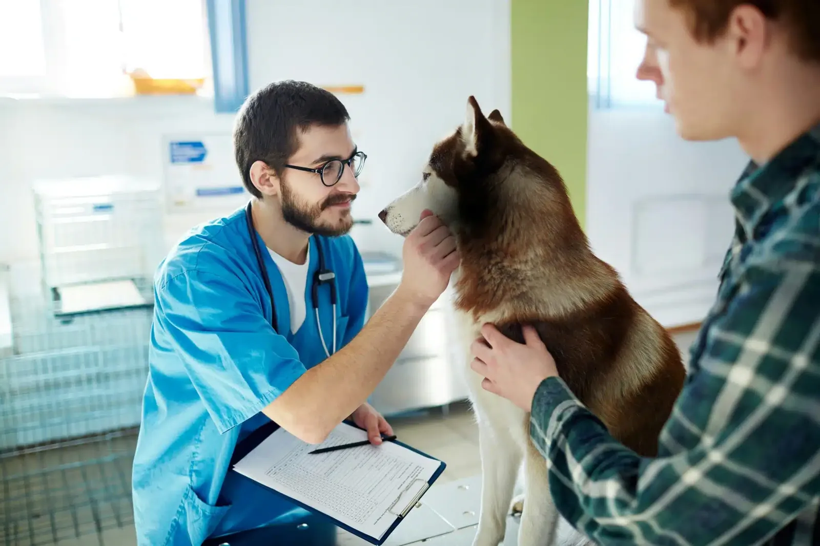 Veterinario con un perro